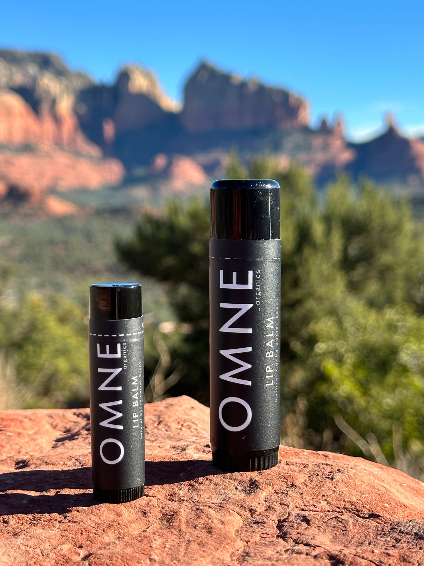 1 for $22 - JUMBO Lip Balm ~ Unscented ~ Size .65 / 18ml ~ Minimal cocao butter scent.